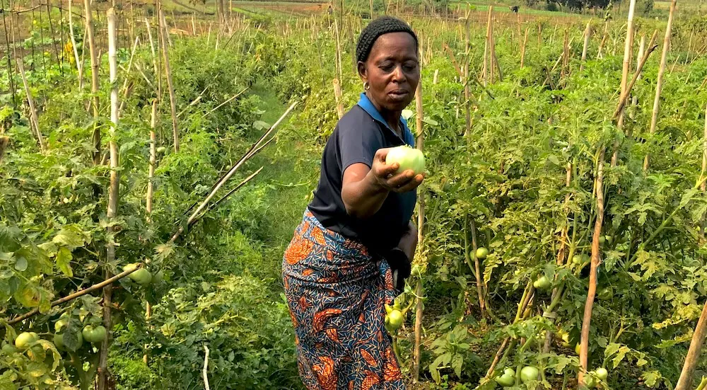 Grand-mère initiant ses petits-enfants à l’agriculture